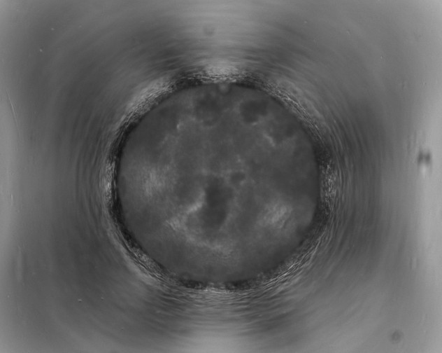 X0000098230742200805081221