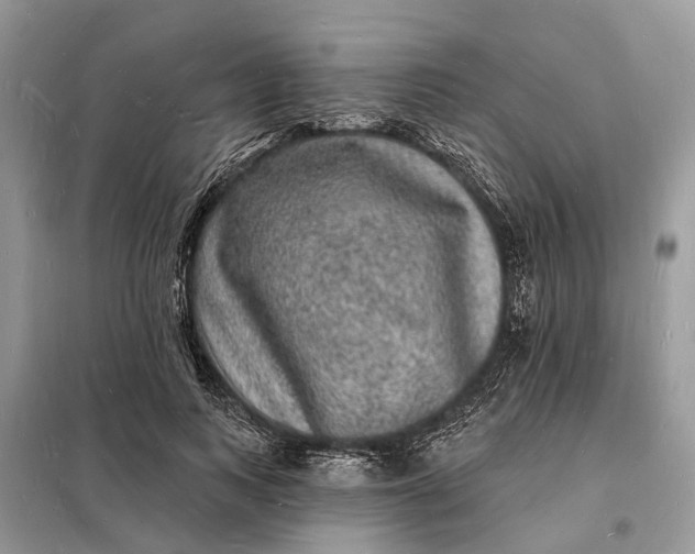 X0000098230743200805081221