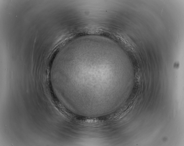 X0000098230744200805081221