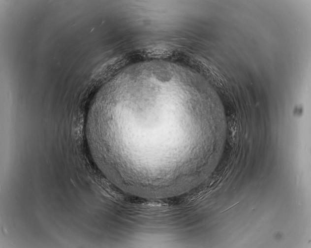 X0000098230745200805081221