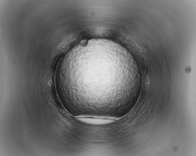 X0000098230746200805081221