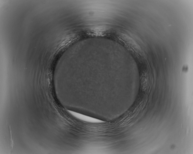 X0000098230747200805081221