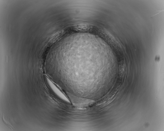 X0000098230749200805081221