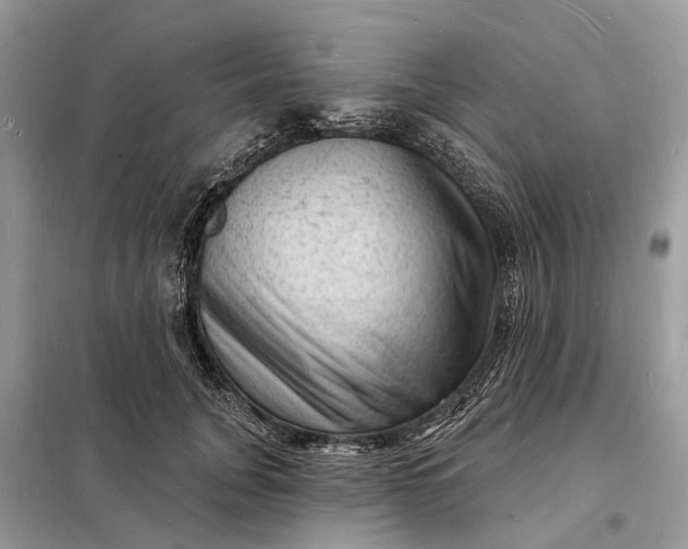 X0000098230751200805081222