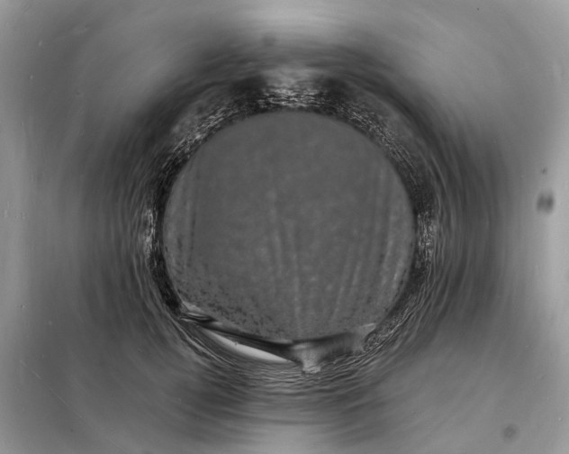 X0000098230752200805081222