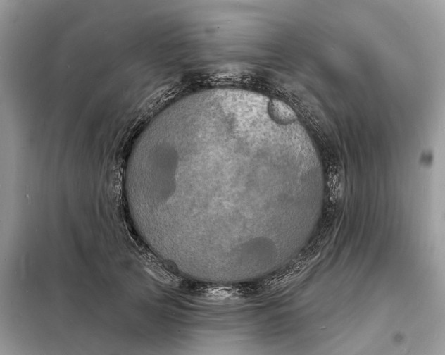 X0000098230753200805081222