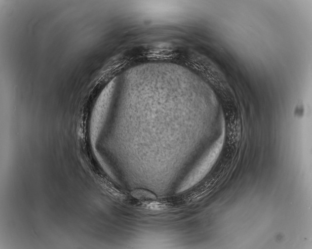 X0000098230755200805081222