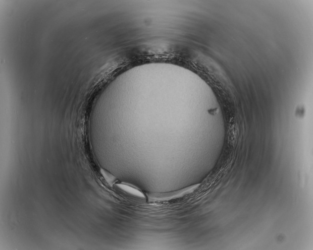 X0000098230756200805081222