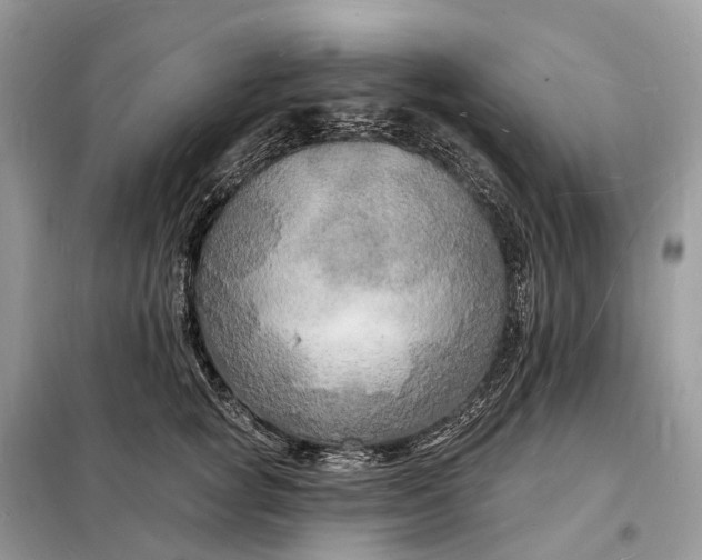 X0000098230757200805081222