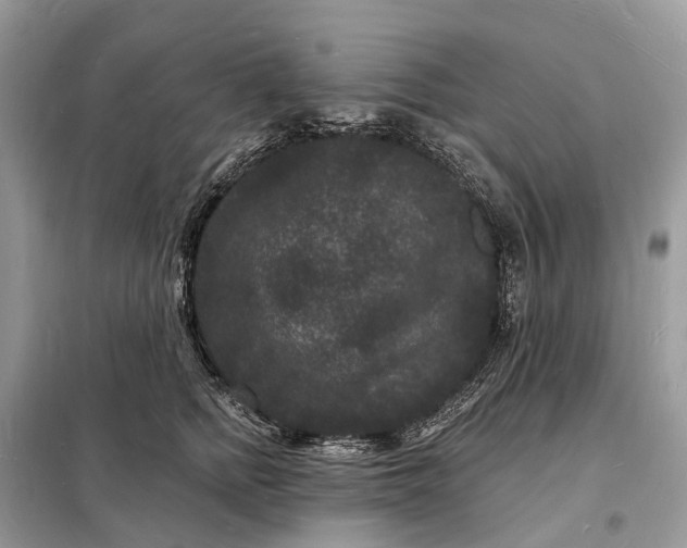 X0000098230758200805081222