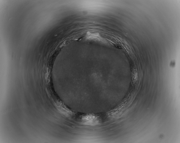 X0000098230759200805081222