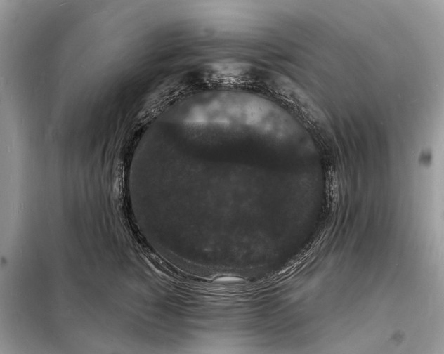 X0000098230760200805081222