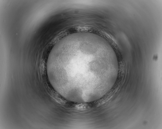 X0000098230761200805081222