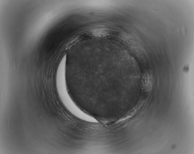 X0000098230762200805081222