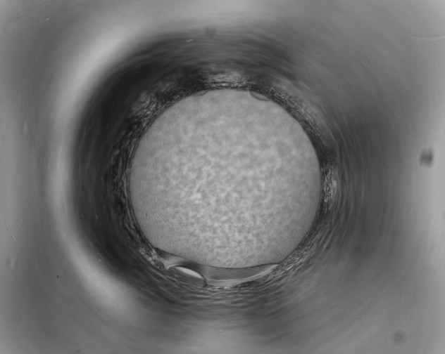 X0000098230764200805081222