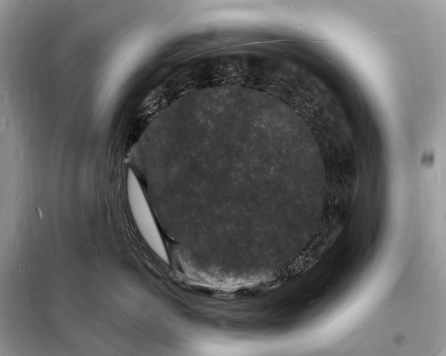 X0000098230766200805081222