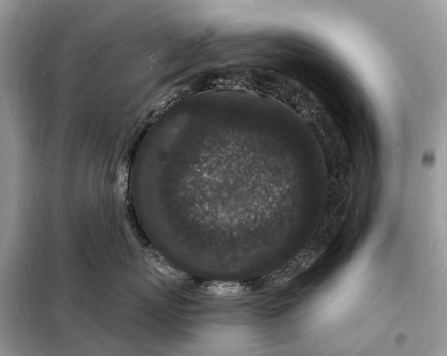 X0000098230767200805081222