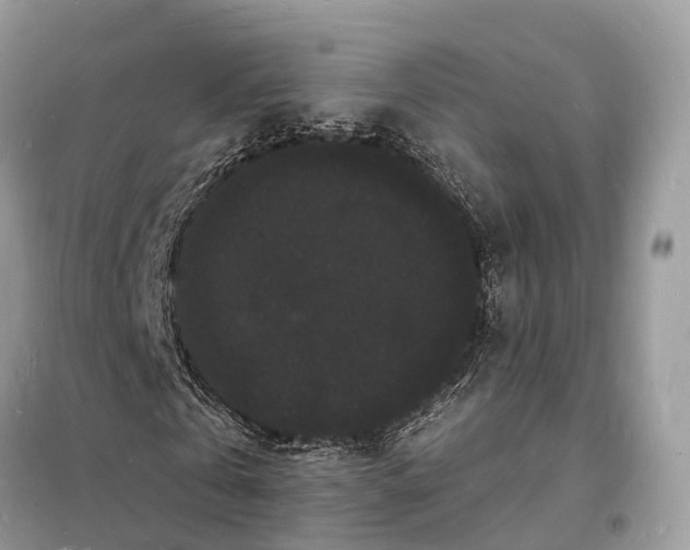 X0000098230769200805081221