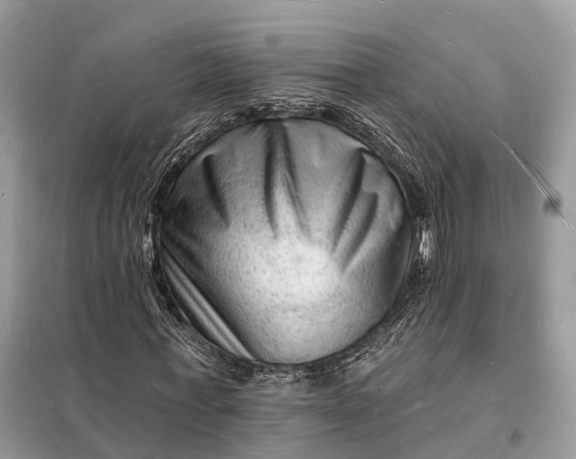 X0000098230771200805081221