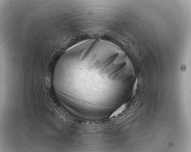 X0000098230772200805081221