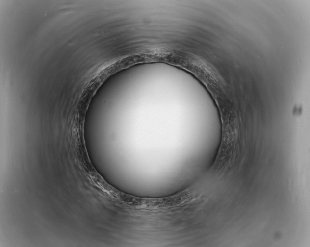 X0000098230773200805081221