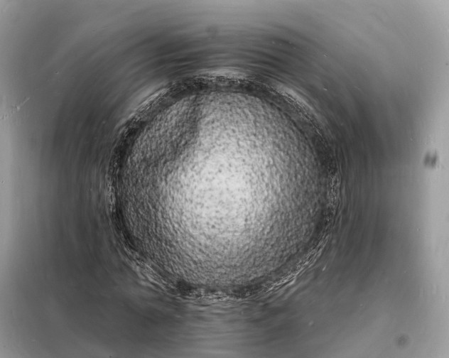 X0000098230774200805081221