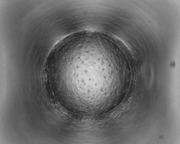 X0000098230776200805081221