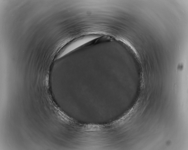 X0000098230777200805081221