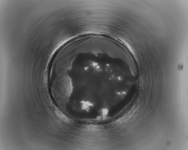 X0000098230779200805081221