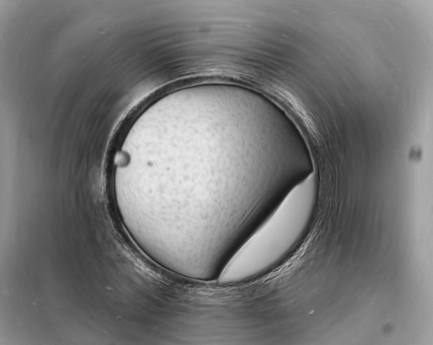 X0000098230780200805081221