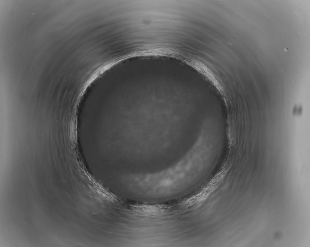 X0000098230781200805081221