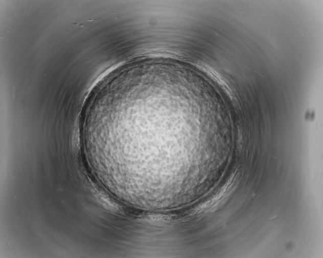 X0000098230782200805081221