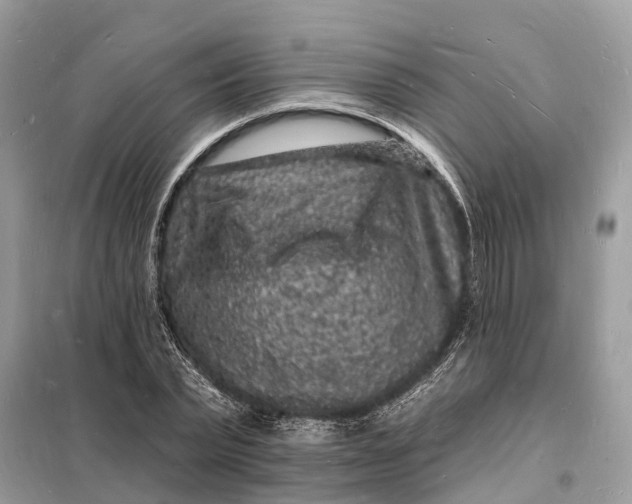 X0000098230783200805081221