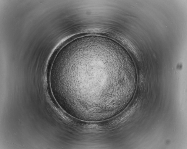 X0000098230784200805081221