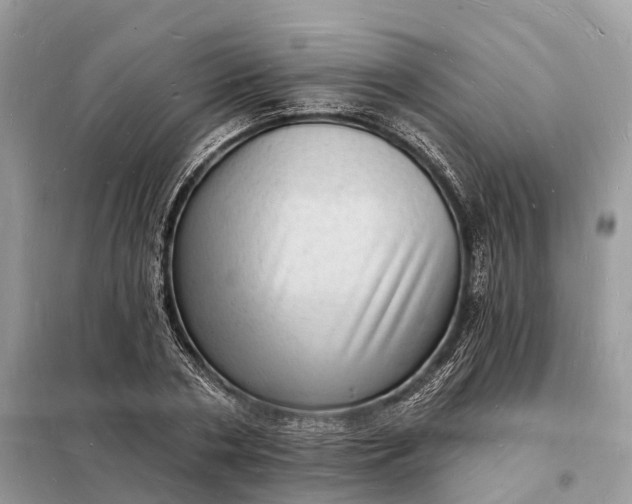 X0000098230786200805081221