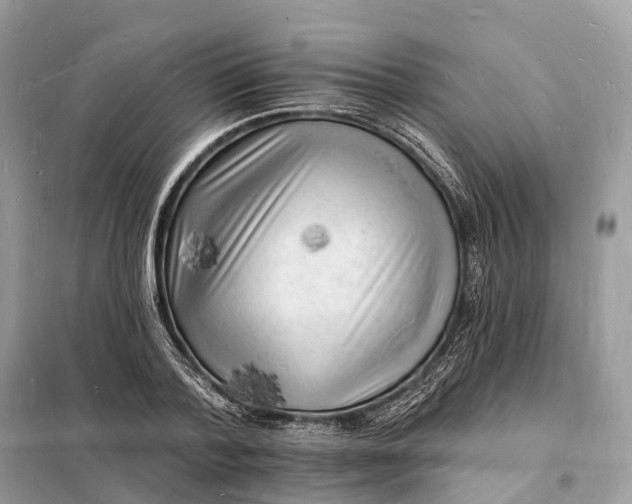 X0000098230788200805081221