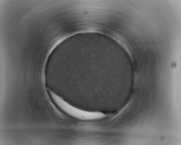 X0000098230789200805081221