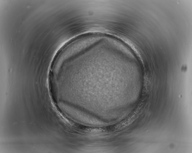 X0000098230791200805081221