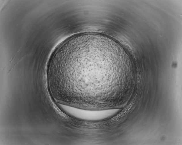 X0000098230792200805081221