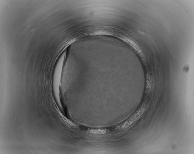 X0000098230793200805081221