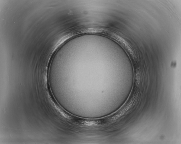 X0000098230794200805081221