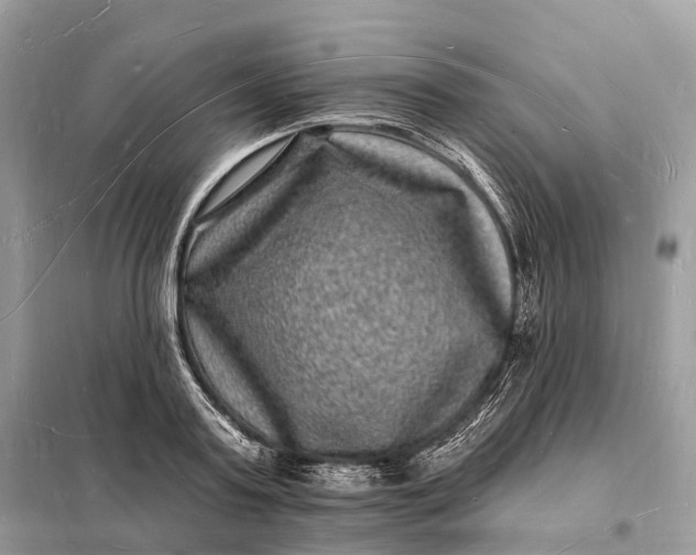 X0000098230795200805081221