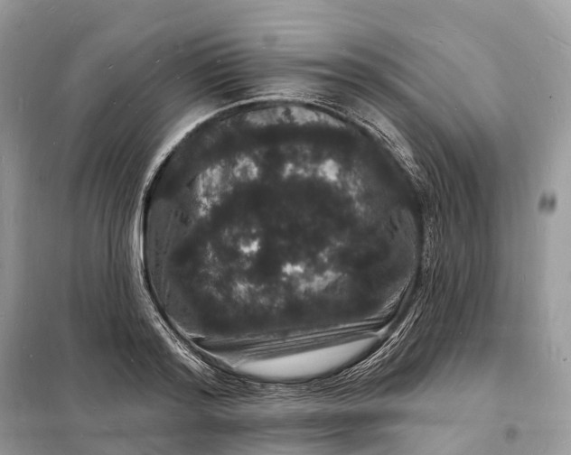 X0000098230796200805081221