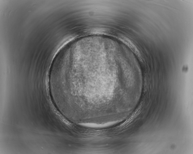 X0000098230798200805081221