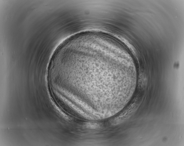 X0000098230799200805081220