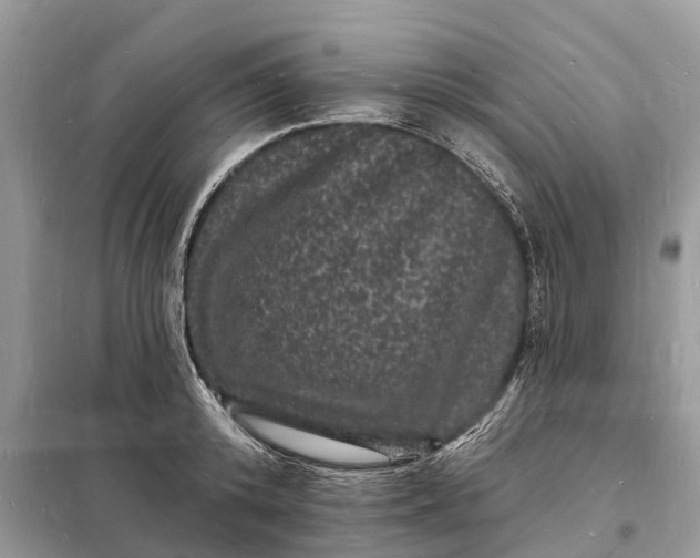 X0000098230800200805081220