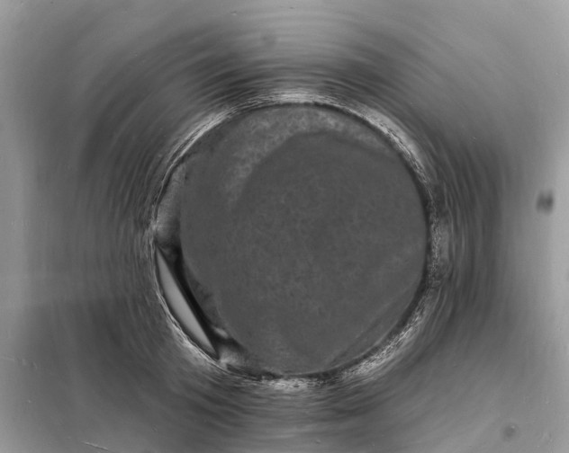 X0000098230801200805081220