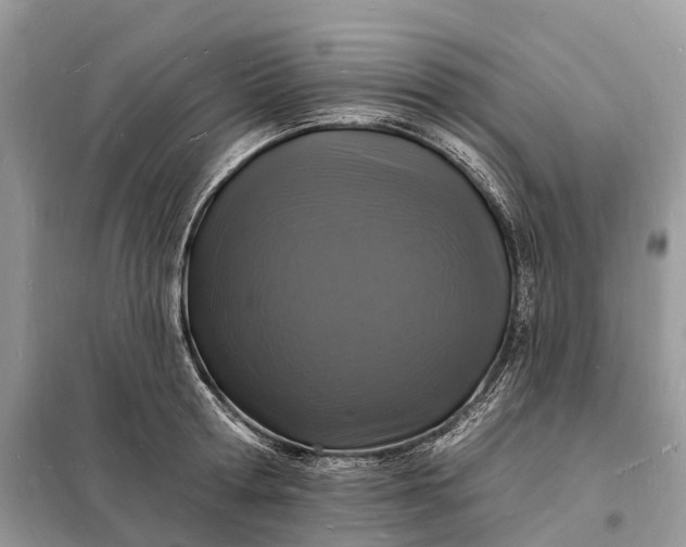 X0000098230802200805081220