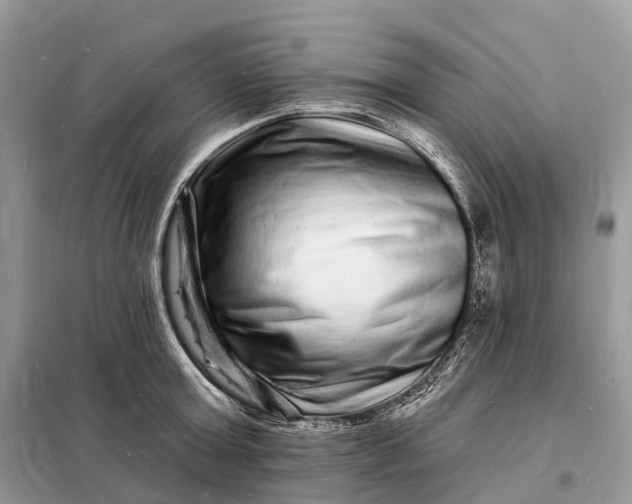 X0000098230803200805081220