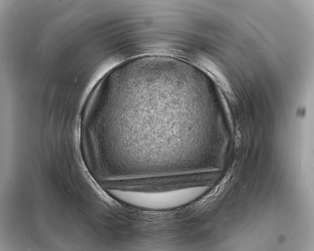 X0000098230804200805081220